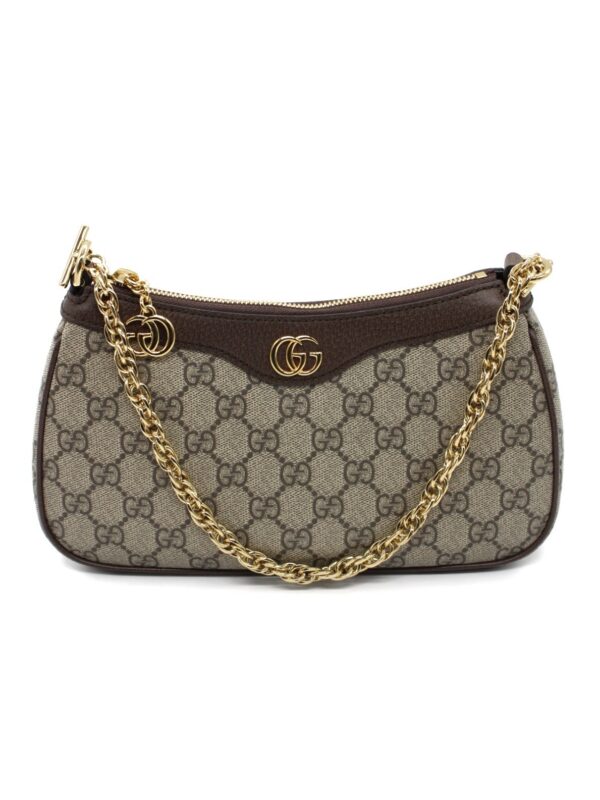 Borsa Gucci Ophidia Con Tracolla Web