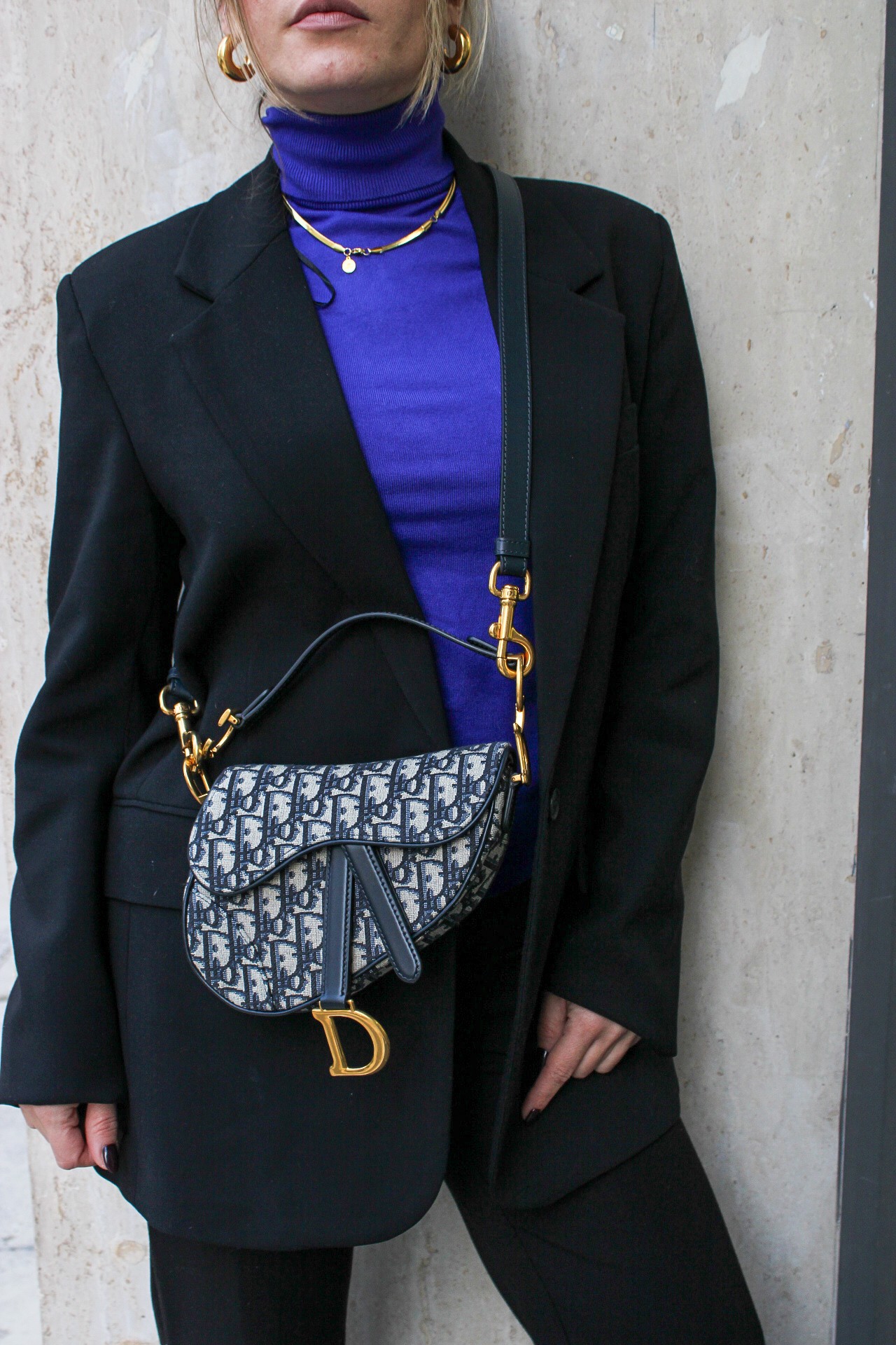 Borsa Dior Mini Saddle thumb