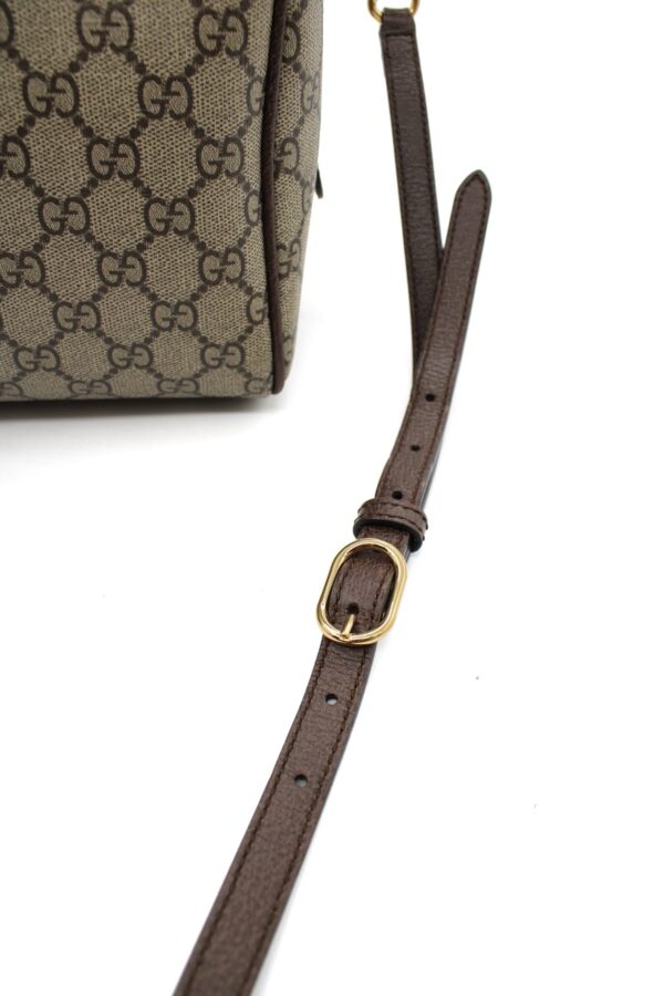 Bauletto Gucci Ophidia Web