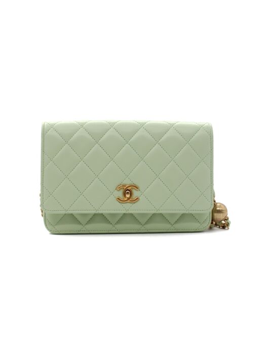 Privato: Borsa Chanel Woc in Pelle