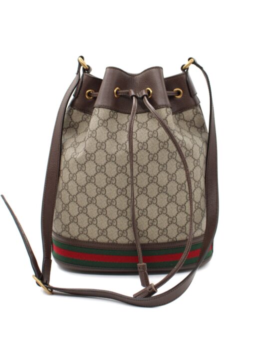 Secchiello Gucci Ophidia Web Large
